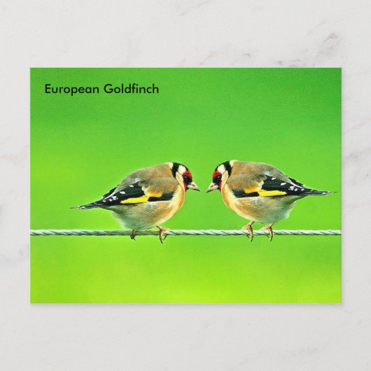 Postkarte (Vorderseite)