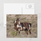  POSTKARTE (Vorne/Hinten)
