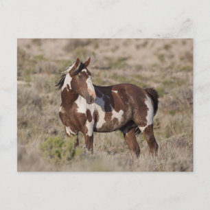 POSTKARTE
