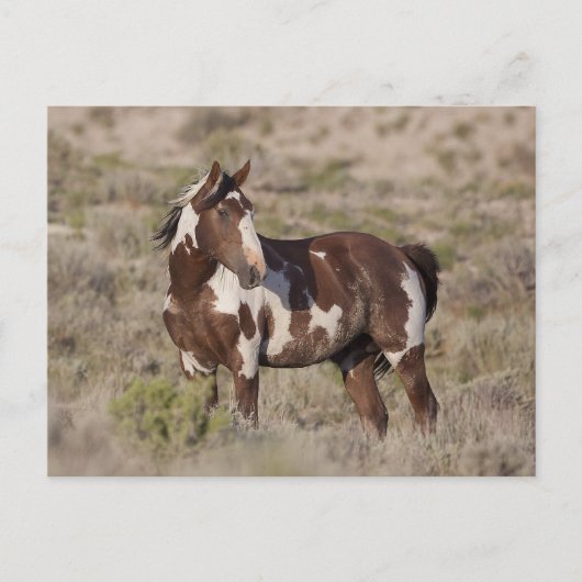  POSTKARTE (Vorderseite)