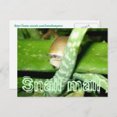 Postkarte (Vorne/Hinten)