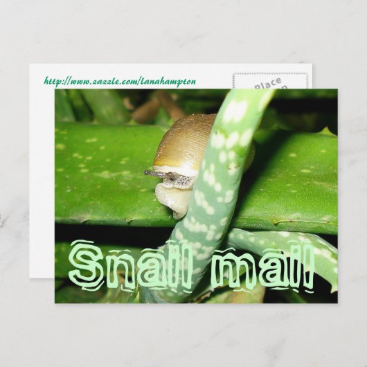 Postkarte (Vorne/Hinten)