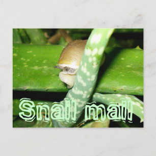 Postkarte