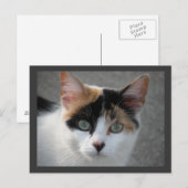 Postkarte (Vorne/Hinten)