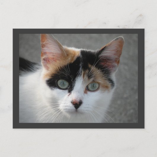 Postkarte (Vorderseite)
