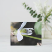 Postkarte (Stehend Vorderseite)