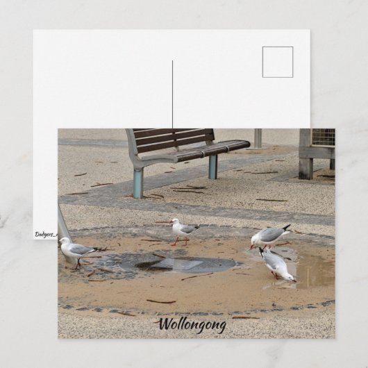 Postkarte (Vorne/Hinten)