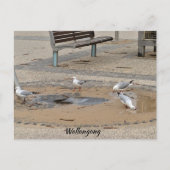 Postkarte (Vorderseite)