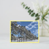 Postkarte (Stehend Vorderseite)