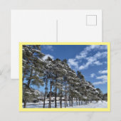 Postkarte (Vorne/Hinten)