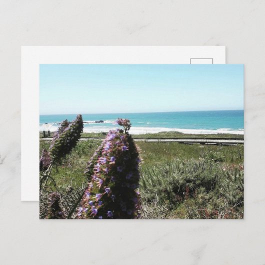 Postkarte (Vorne/Hinten)