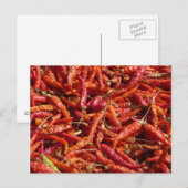 Postkarte (Vorne/Hinten)