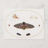 Postkarte (Vorderseite)