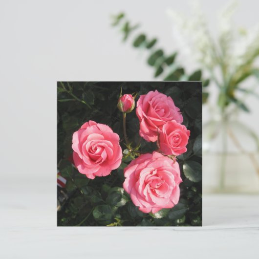 Postkarte (Stehend Vorderseite)