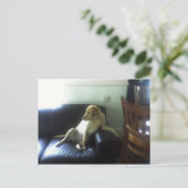  POSTKARTE (Stehend Vorderseite)