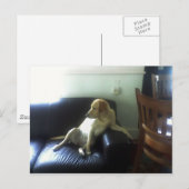  POSTKARTE (Vorne/Hinten)