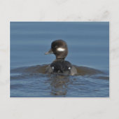 Postkarte (Vorderseite)