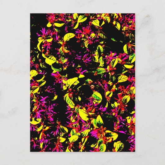 Postkarte (Vorderseite)