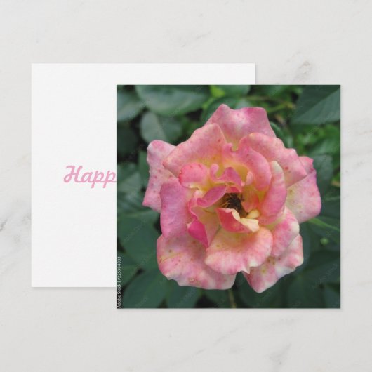 Postkarte (Vorne/Hinten)