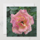 Postkarte (Vorderseite)