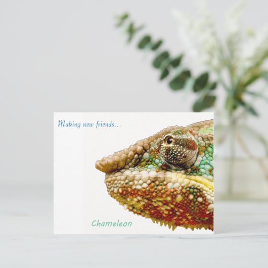 Postkarte (Stehend Vorderseite)