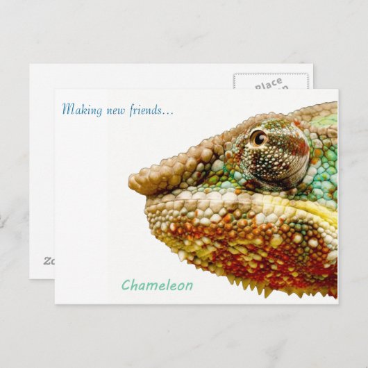 Postkarte (Vorne/Hinten)