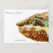 Postkarte (Vorderseite)