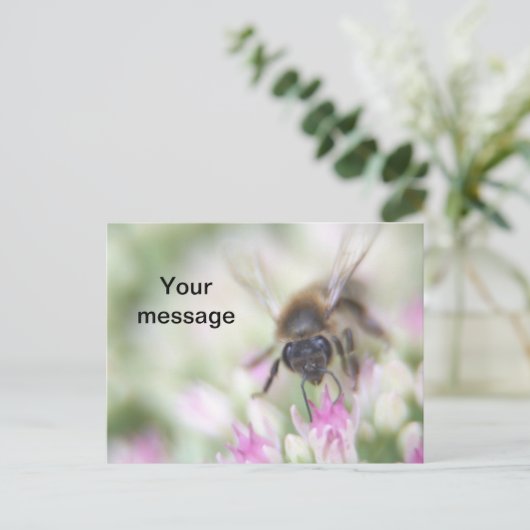 Postkarte (Stehend Vorderseite)