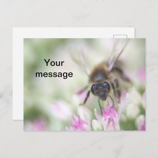 Postkarte (Vorne/Hinten)