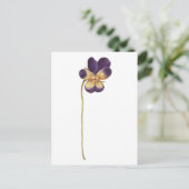 Postkarte (Stehend Vorderseite)