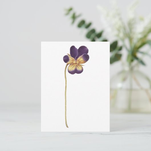 Postkarte (Stehend Vorderseite)