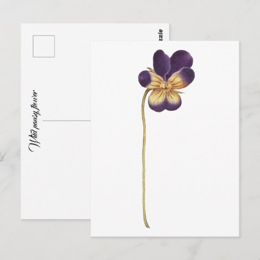 Postkarte (Vorne/Hinten)