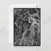 Postkarte (Vorne/Hinten)