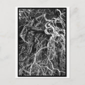 Postkarte (Vorderseite)