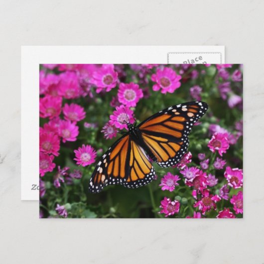 Postkarte (Vorne/Hinten)