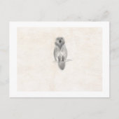 Postkarte (Vorderseite)