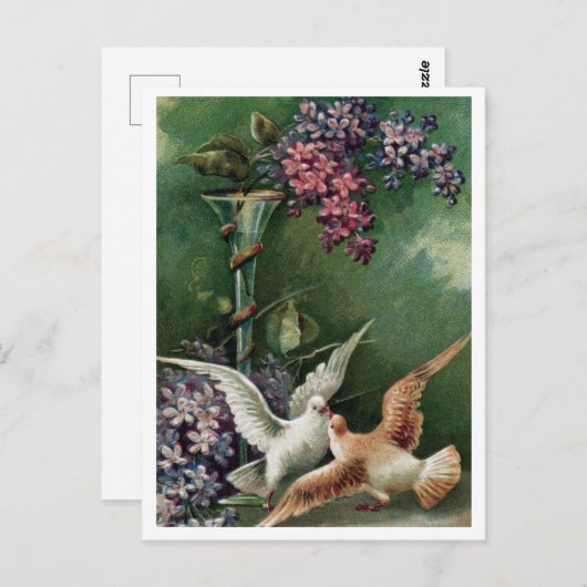 Postkarte (Vorne/Hinten)