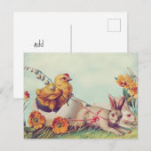 Postkarte (Vorne/Hinten)