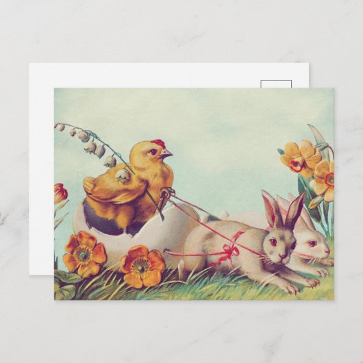 Postkarte (Vorne/Hinten)