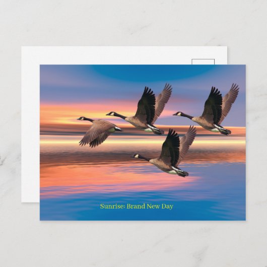 Postkarte (Vorne/Hinten)