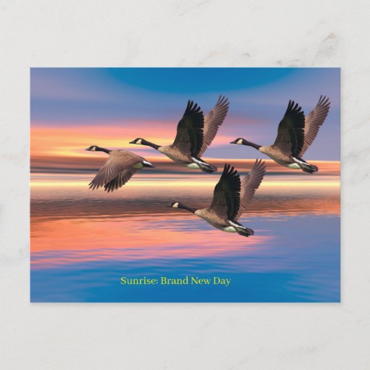 Postkarte (Vorderseite)