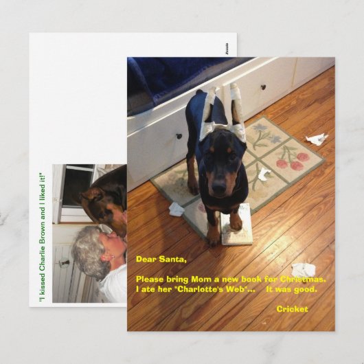 Postkarte (Vorne/Hinten)