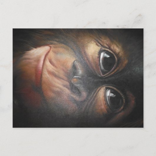 Postkarte (Vorderseite)