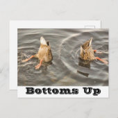 Postkarte (Vorne/Hinten)