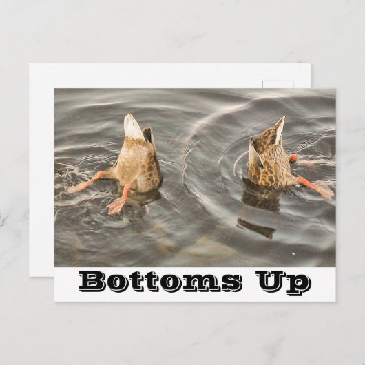 Postkarte (Vorne/Hinten)