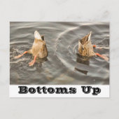 Postkarte (Vorderseite)