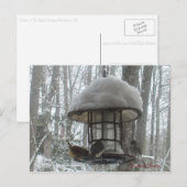 Postkarte (Vorne/Hinten)