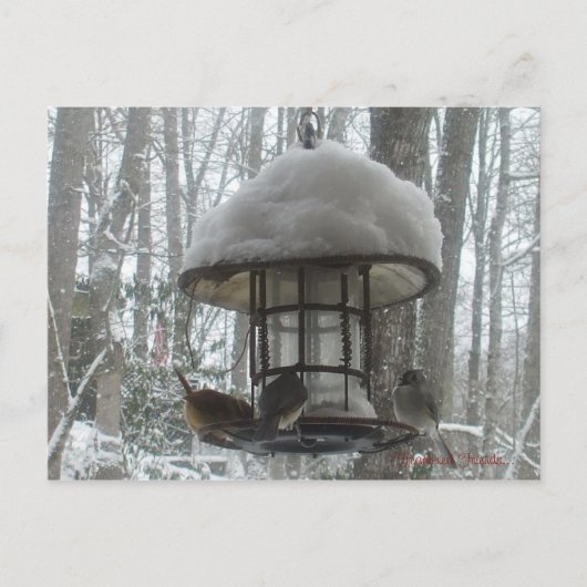 Postkarte (Vorderseite)
