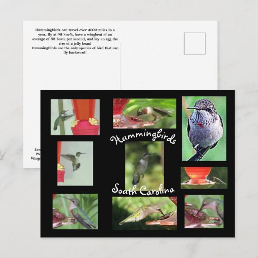 Postkarte (Vorne/Hinten)