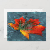 Postkarte (Vorne/Hinten)